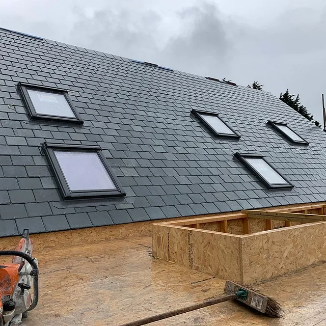 Roof with skylight windows